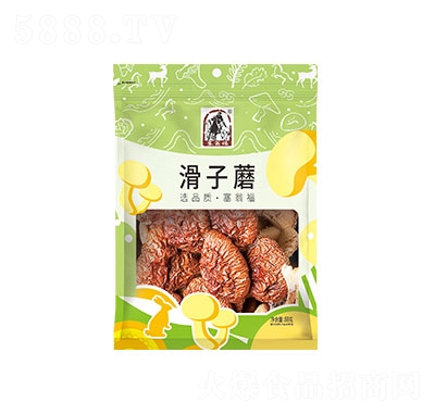̸88gĢ