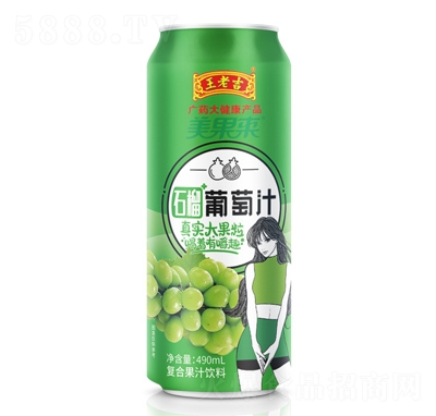 ϼʯ֭ͺϹ֭490ml
