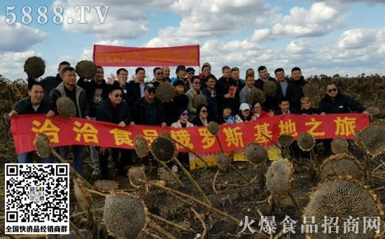 全產(chǎn)業(yè)鏈布局國際化 全產(chǎn)業(yè)鏈布局國際化