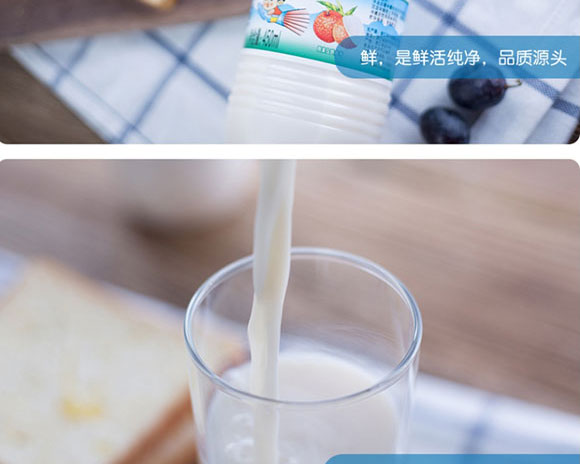 ӈ@֦Lζţ450ml_08