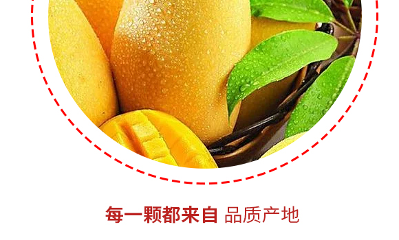 L(zhng)(yng)ʳƷ޹˾-a(chn)Ʒ(hu)(c)â_06